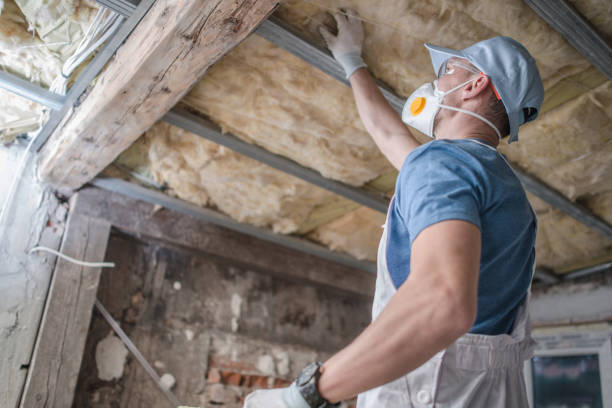 Best Commercial Insulation in Lmar, DE