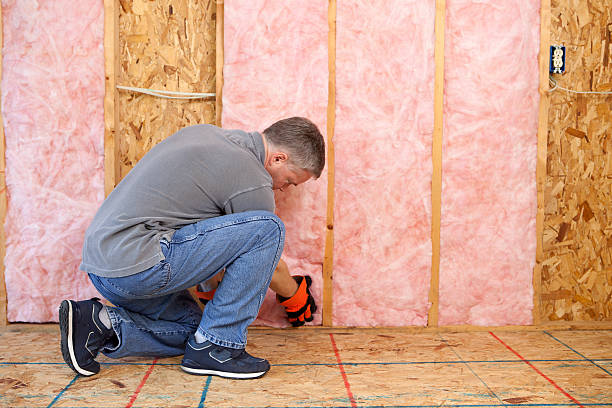 Types of Insulation We Offer in Delmar, DE